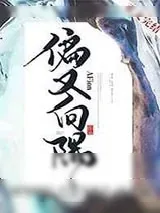 《偏又向隅》小说封面