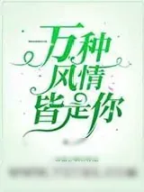 《万种风情皆是你》小说封面