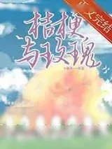 《桔梗与玫瑰》小说封面