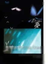 《美梦过期》小说封面