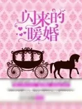《闪来的暖婚（高干）》小说封面