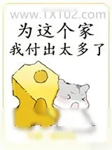 《为这个家我付出太多了》小说封面