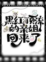《黑红顶流的亲姐回来了》小说封面