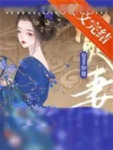 《贤妻如她》小说封面