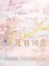 《夏日回应》小说封面
