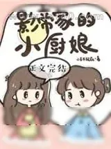《影帝家的小厨娘》小说封面