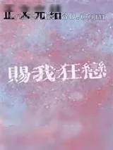 《赐我狂恋》小说封面