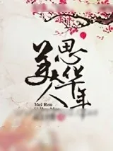 《美人思华年》小说封面