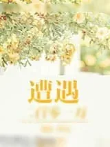 《遭遇二百零一万》小说封面