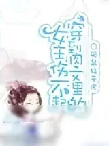 《穿到肉文里的女主伤不起》小说封面