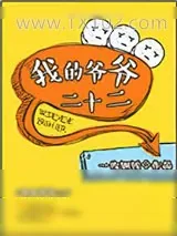 《我的爷爷二十二》小说封面