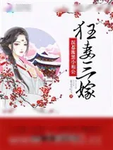 《狂妻三嫁：误惹腹黑小相公》小说封面