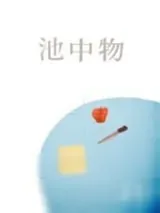 《池中物》小说封面
