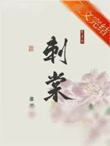 《刺棠》小说封面