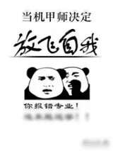 《当机甲师决定放飞自我》小说封面