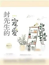 《封先生的宠爱》小说封面