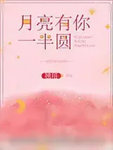 《月亮有你一半圆》小说封面