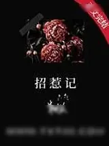 《招惹记》小说封面