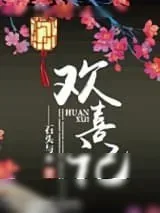《欢喜记》小说封面