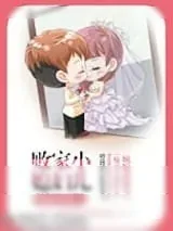 《败家小媳妇儿》小说封面