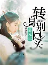 《慕先生，转身别回头》小说封面