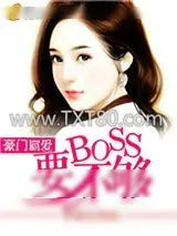 《豪门霸爱：BOSS要不够》小说封面
