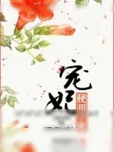 《宠妃使用手册》小说封面