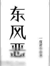 《东风恶》小说封面