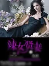 《豪嫁之辣女贤妻》小说封面