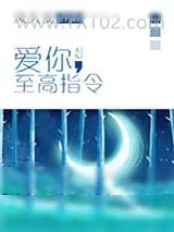 《爱你，至高指令》小说封面