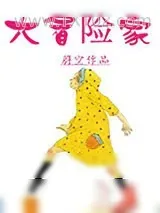 《大冒险家》小说封面