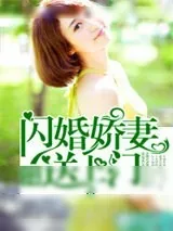 《闪婚娇妻送上门》小说封面