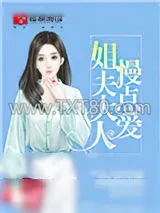 《姐夫大人，慢点爱！》小说封面