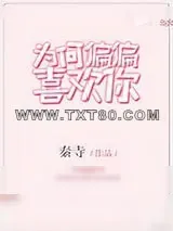 《为何偏偏喜欢你》小说封面
