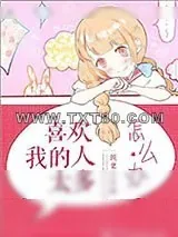 《喜欢我的人太多怎么办》小说封面