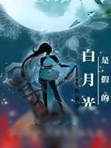 《白月光是假的》小说封面
