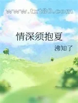 《情深须抱夏》小说封面