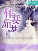 《佳妻如梦》小说封面