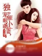 《独宠催眠小萌妻》小说封面