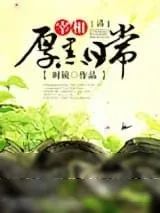 《大清宰相厚黑日常》小说封面