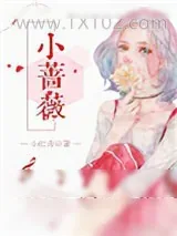 《小蔷薇》小说封面