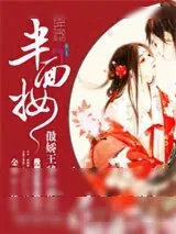 《半面妆：傲娇王爷冷艳妃》小说封面