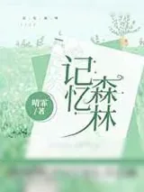 《记忆森林》小说封面