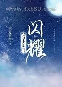 《看不见的闪耀[娱乐圈]》小说封面