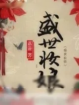 《盛世妆娘（网络版）》小说封面