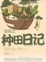 《空间之种田日记》小说封面