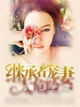 《继承者宠妻太危险》小说封面