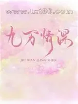 《九万情深》小说封面