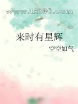 《来时有星辉》小说封面