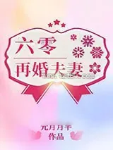 《六零再婚夫妻》小说封面